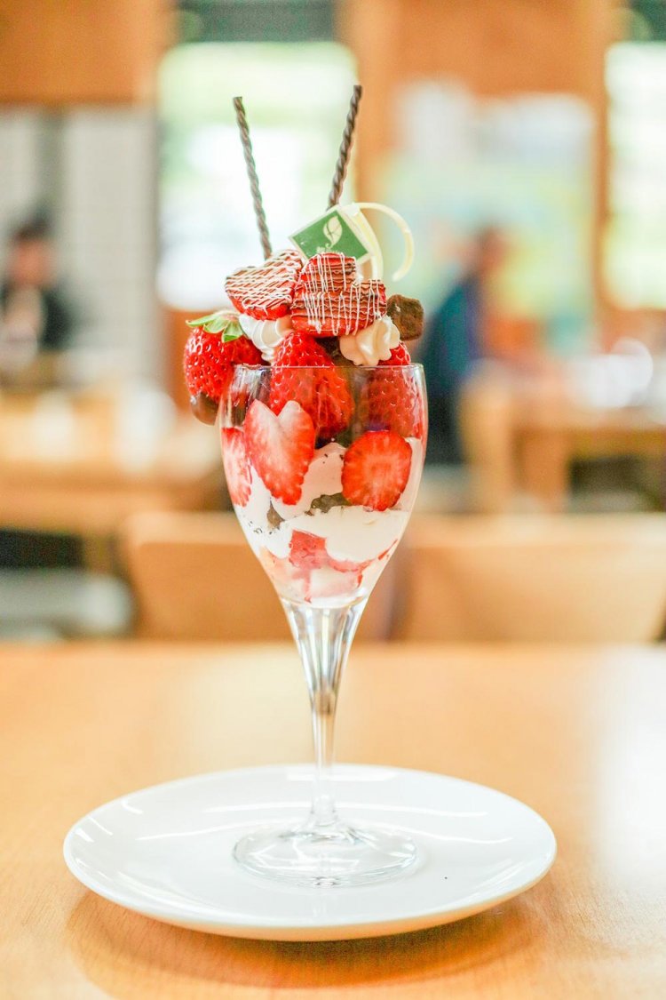 【カメラガールズ】『Canon EF-M 32mm 1.4F STM』のレンズレビュー