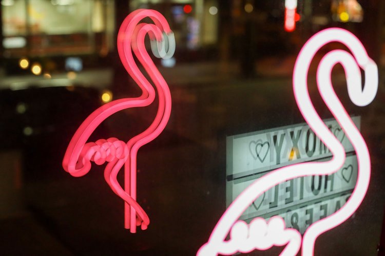 【カメラガールズ】『Canon EF-M 32mm 1.4F STM』のレンズレビュー