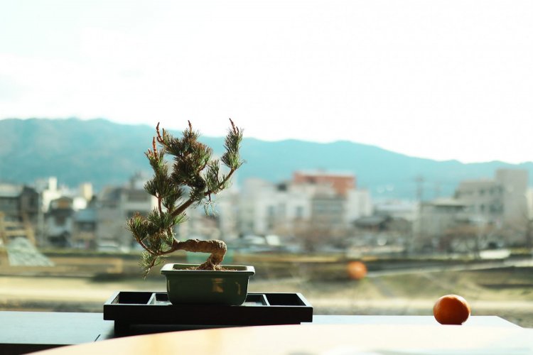 【カメラガールズ】『Canon EF-M 32mm 1.4F STM』のレンズレビュー