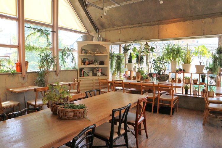 日曜の朝のひとときをイメージした空間は、緑がふんだんに  深呼吸したくなるほど気持ちが良い。