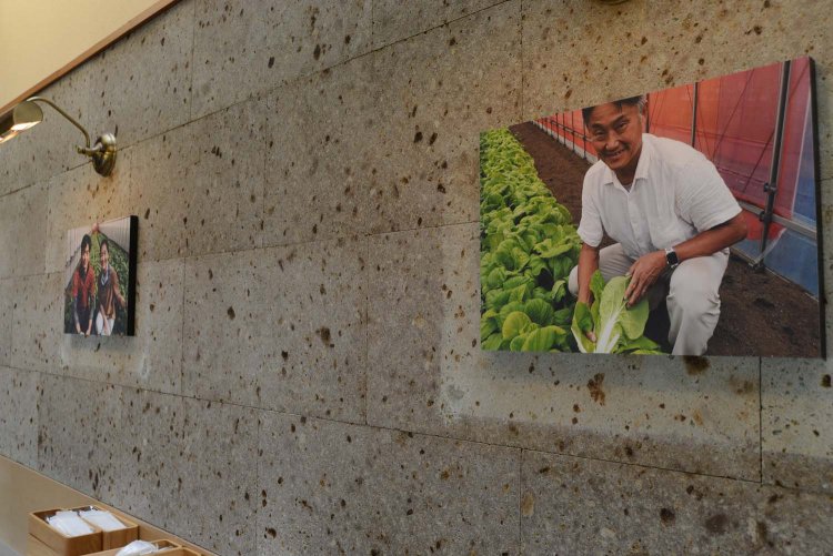 店内には野菜をはじめとした生産者の顔写真を飾られている。