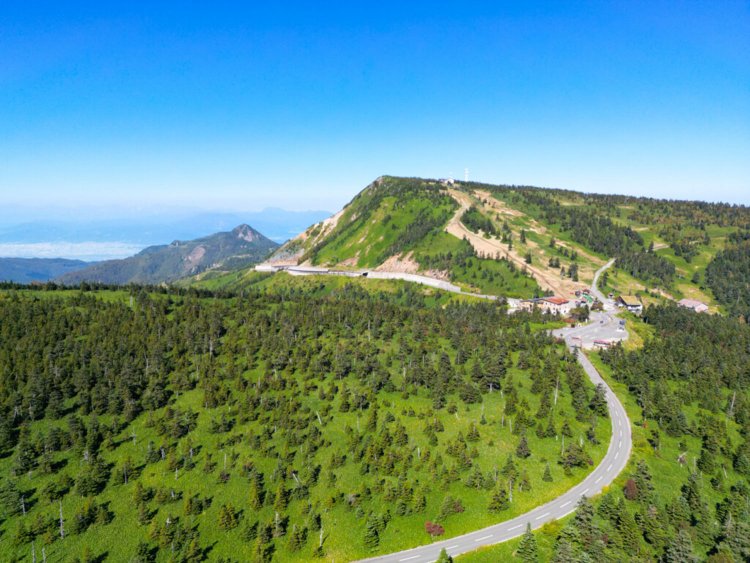 初夏の横手山では、緑豊かな新緑が楽しめる。リフトからは、天気が良ければ妙高山、北アルプス、南アルプスや富士山まで見える日も。