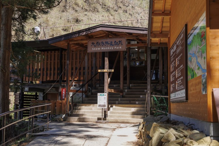 入苑料を払っていざお猿さんとご対面！