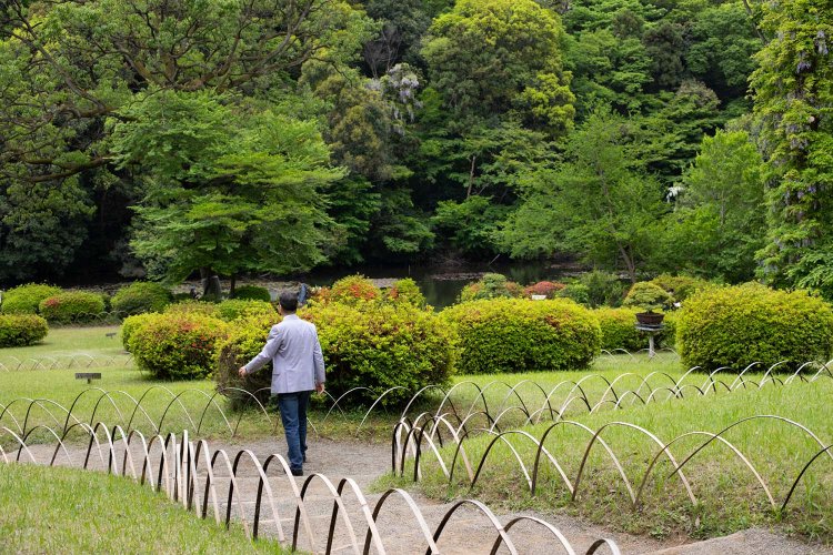 武蔵野の面影を残す原生林に囲まれた「南池」。