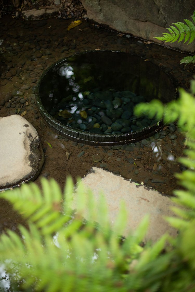 澄んだ水が湧き出る「清正井」。