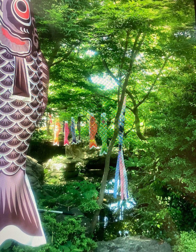 6_received_110100635418446