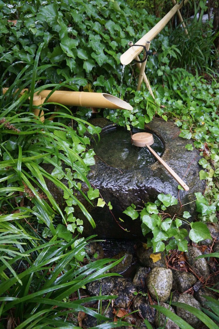 不思議な音を立てる水琴窟にも心癒される。