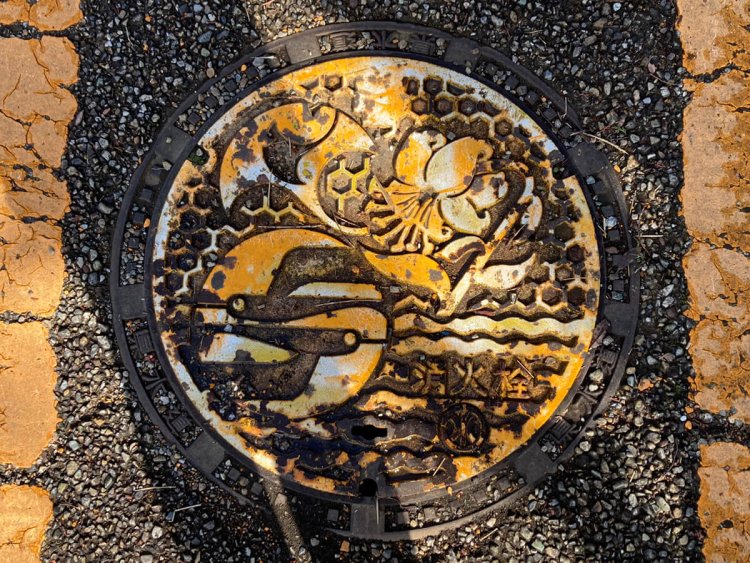 神奈川県の木（イチョウ）、花（ヤマユリ）、鳥（カモメ）があしらわれている（大山）。