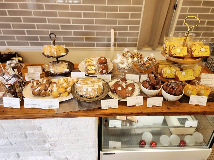 シェルプリーズ (5)