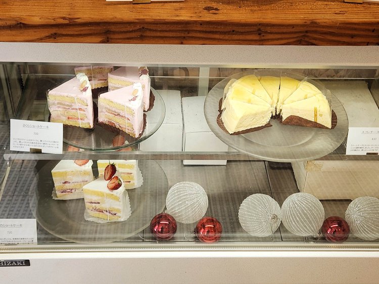 シェルプリーズ (6)