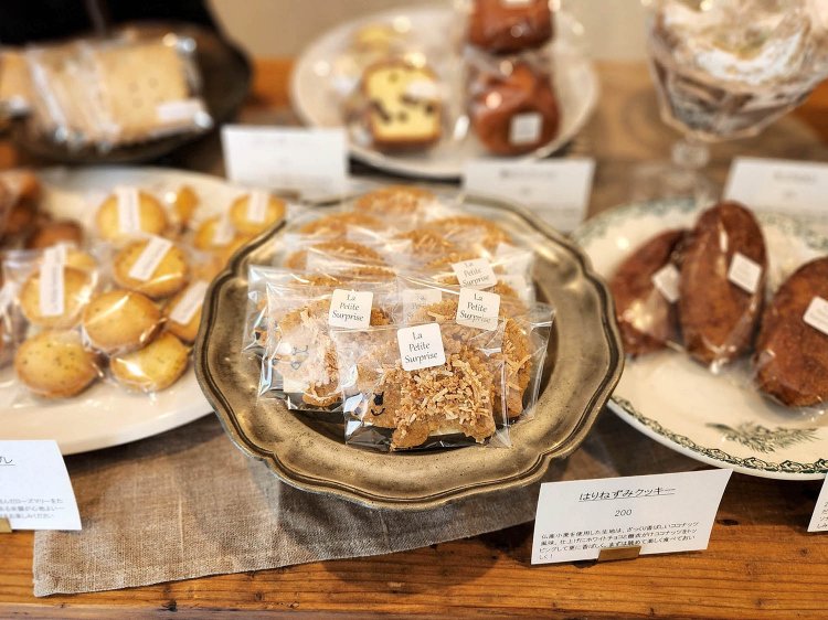 シェルプリーズ (7)