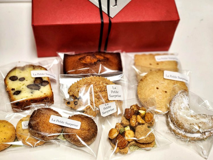 シェルプリーズ (9)