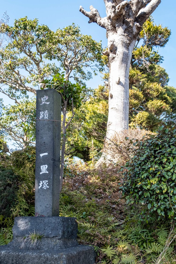 宝池寺一里塚と合わせて「伏見一里塚」とも呼ばれる玉井寺一里塚。