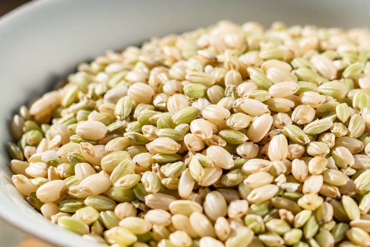 緑米は精米せず白米の1～1.5割ほどの割合で炊く。特有の粘りとプチプチとした食感がいい（店頭販売あり）。