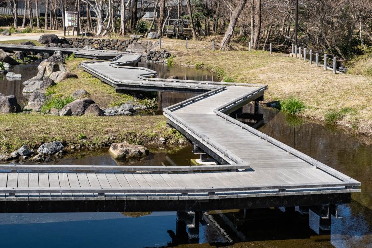 貴重な動植物が生息するビオトープとして整備された境川・清住緑地。