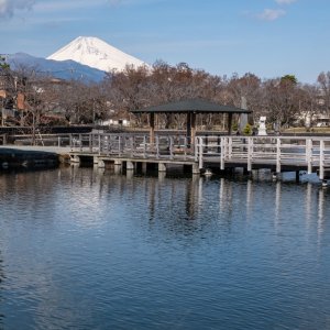 静岡県清水町～富士山の恵みである清らかな水が一番の誇り～