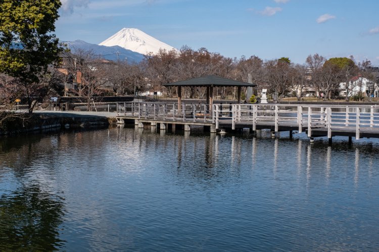 あずま屋越しに富士山を望む丸池のロケーションに思わず感嘆。