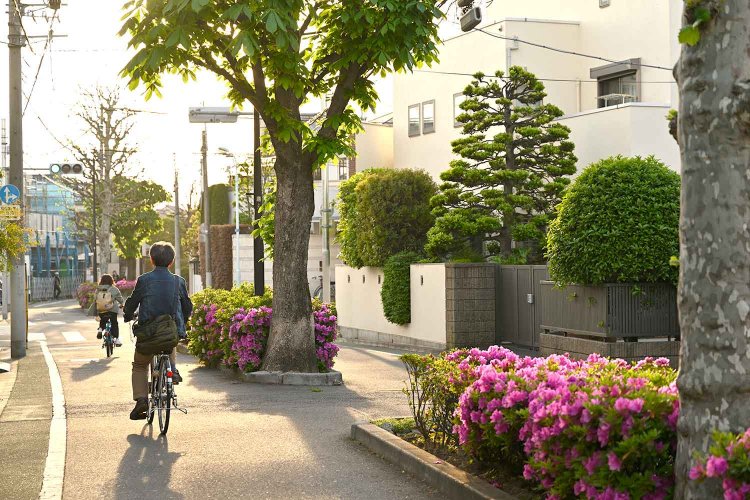 ときわ台駅北側に計画された常盤台住宅地。一周できるプロムナード（散歩道）が特徴的だ。