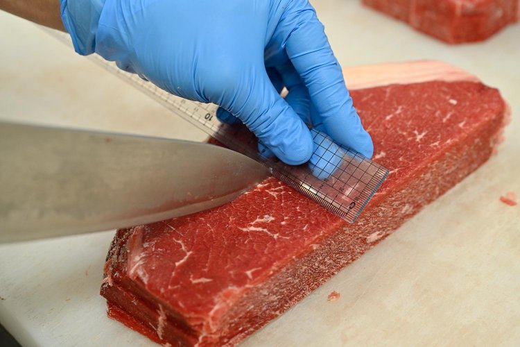 【散歩の達人】東武東上線さんぽ［PART 1 下板橋～ときわ台］