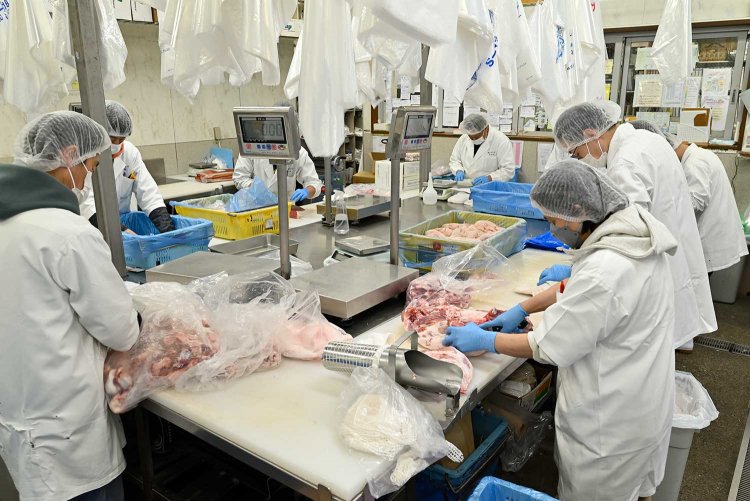 【散歩の達人】東武東上線さんぽ［PART 1 下板橋～ときわ台］