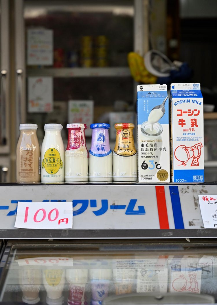 【散歩の達人】東武東上線さんぽ［PART 2 上板橋～成増］