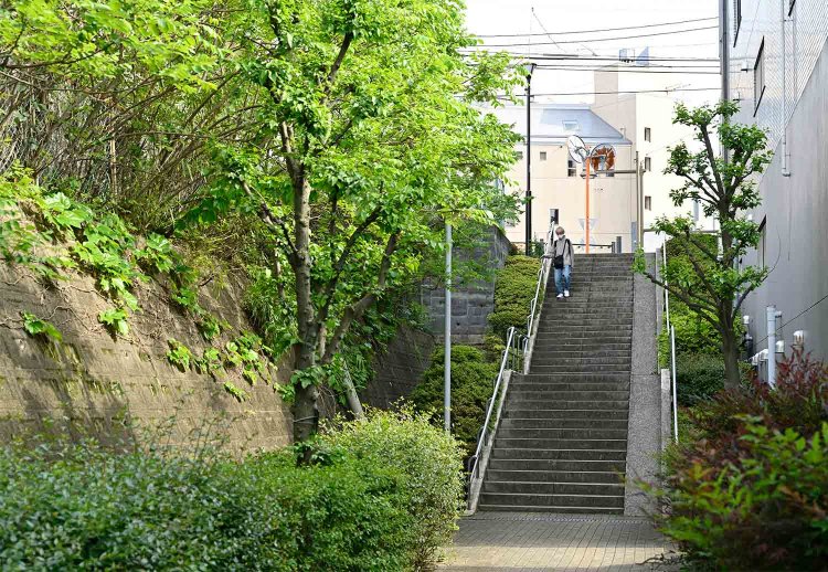 暗渠に作られた百々向川（すずむきがわ）緑道は階段が多く楽しい。