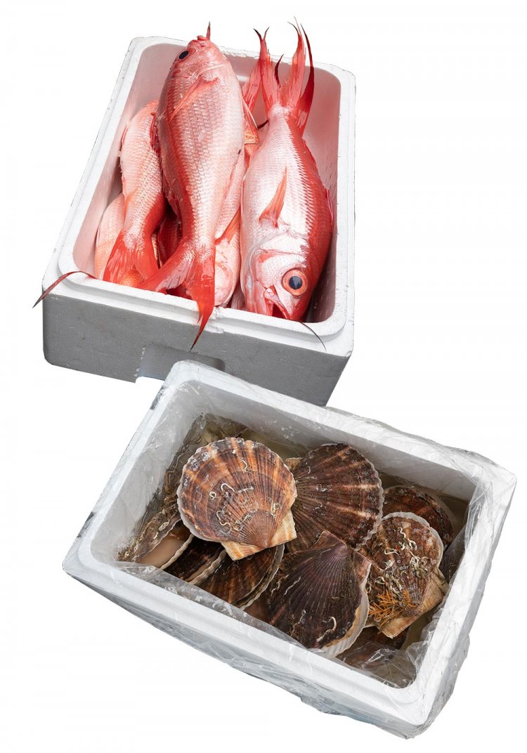 【散歩の達人】歌舞伎町アップデート