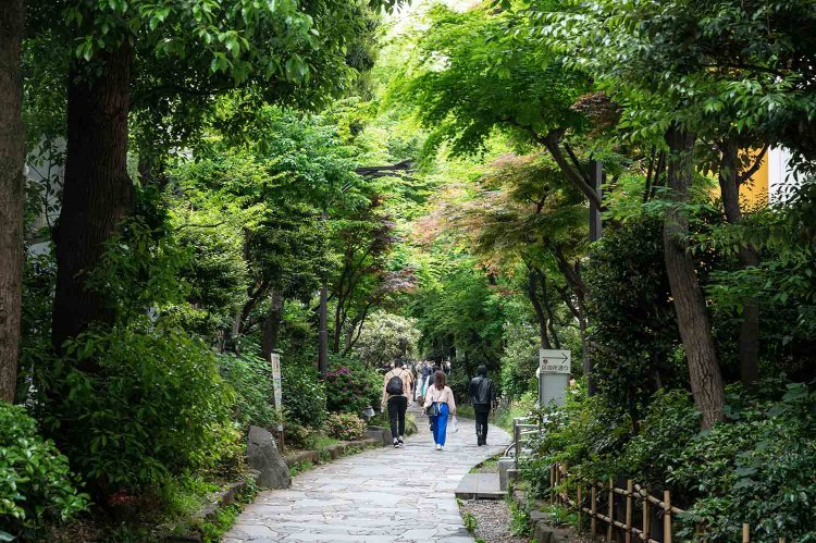 ホテル街からゴールデン街に抜ける四季の路は、都電の引き込み線跡に造られた。