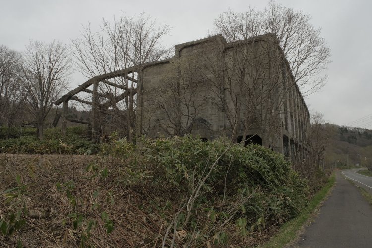 道路に突如として現れたホッパー。いきなりの登場に大変驚いた。ホッパーとしては大型なタイプである。左手の骨組みが気になる。