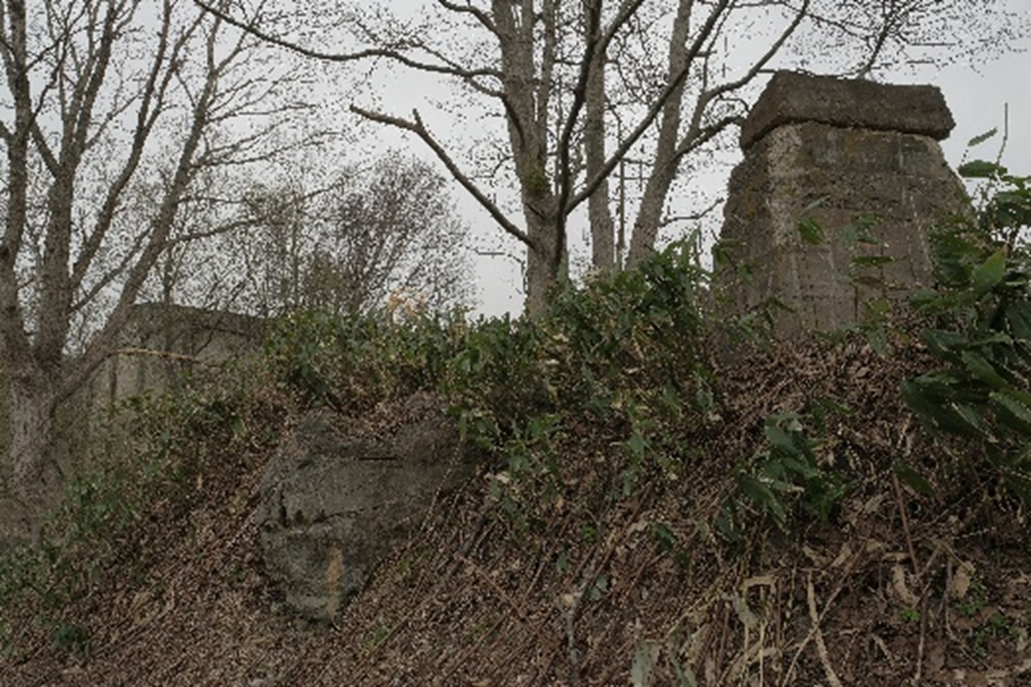 ホッパーの背後は斜面となっており、耕作地の敷地になっているようだ。傍らには炭鉱時代の遺構が残されていた。