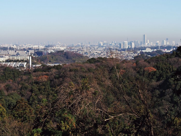 六国見山山頂の先からの景色。横浜市街やみなとみらいのビル群がよく見える。