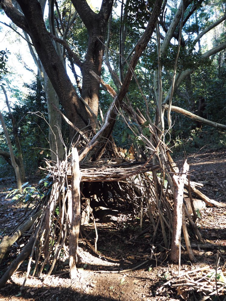 道脇の開けた斜面に、木の枝で組まれた小さな秘密基地を見つけた。家と裏山の近さは、野遊び好きならたまらない。