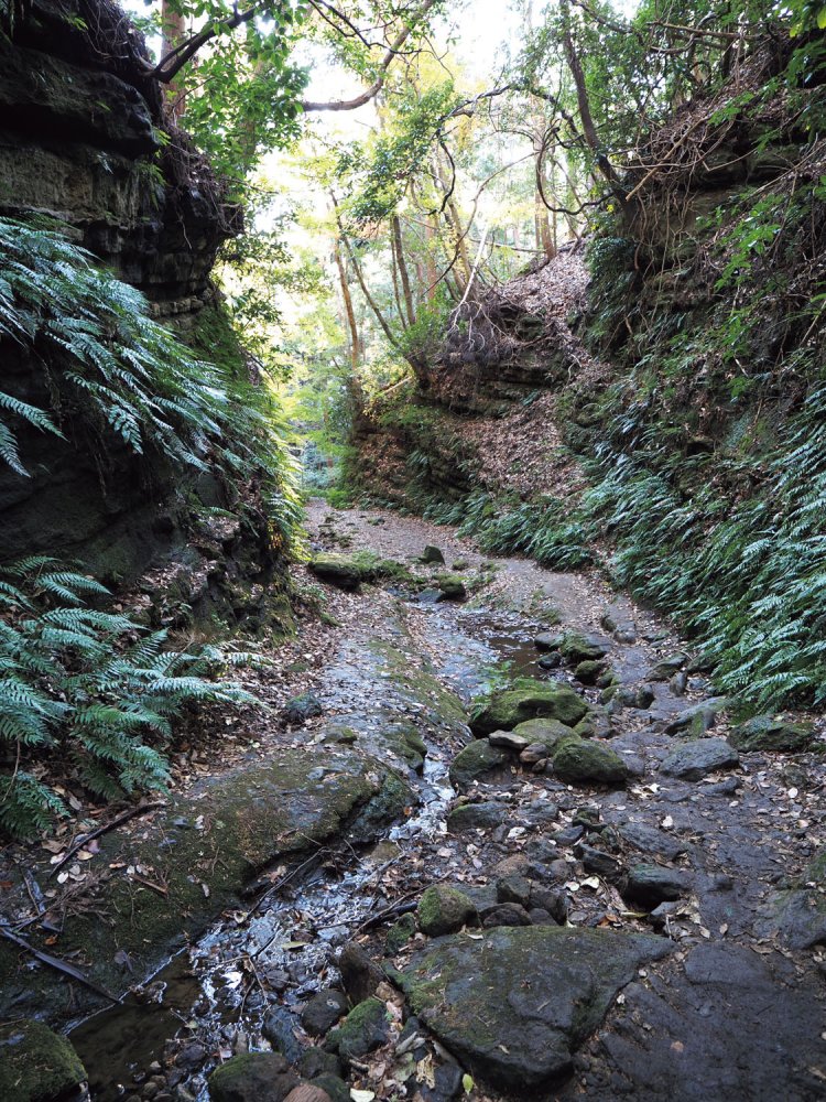 獅子岩から下ったところにある、名も無き切通し。すぐ下が二階堂川の源流となる。