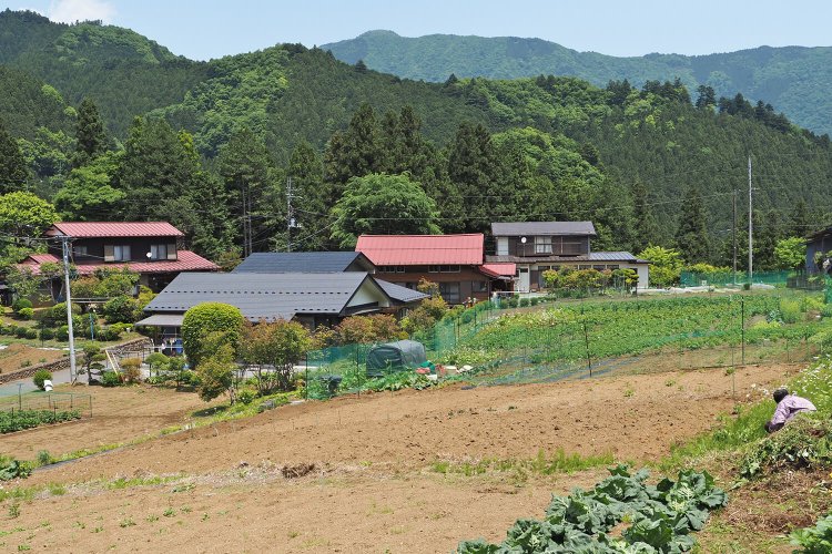段丘上には比較的平らな畑が広がっていた。檜原村では住みやすいところだと思う。