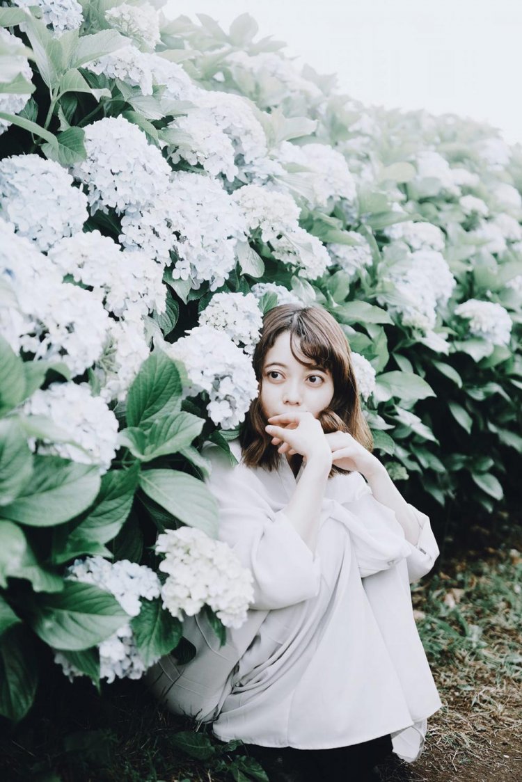 【カメラガールズ】東京のおすすめ紫陽花スポットと、撮影テクニック。