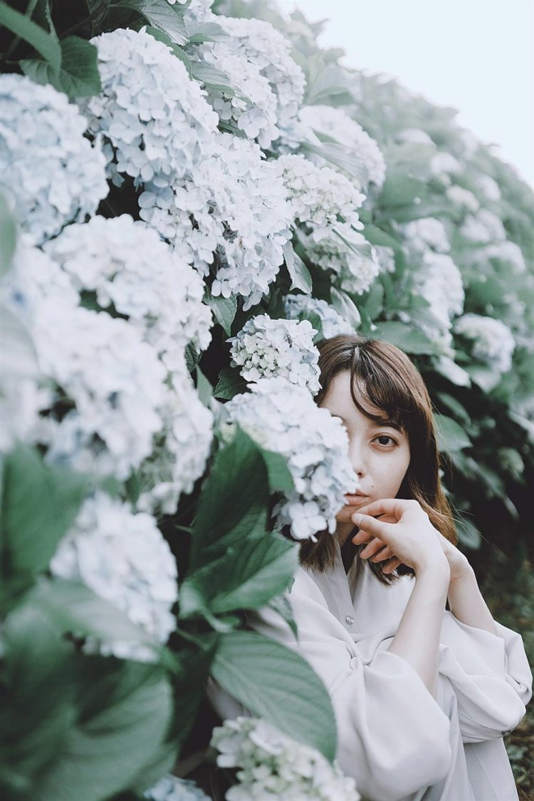 【カメラガールズ】東京のおすすめ紫陽花スポットと、撮影テクニック。