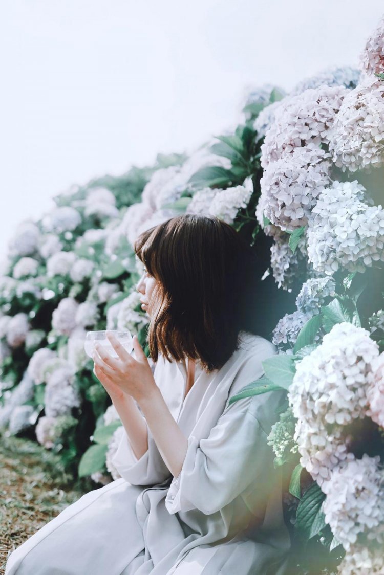 【カメラガールズ】東京のおすすめ紫陽花スポットと、撮影テクニック。