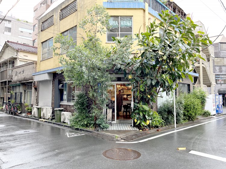 店頭にはわっしわっしと草木が茂っている。