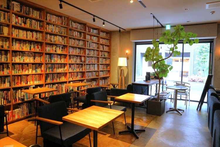 床から天井まで敷き詰められた本。圧巻の光景だ。