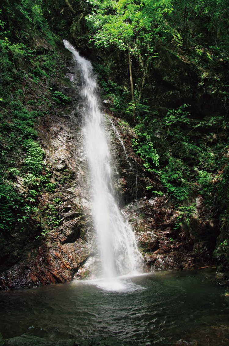 落差は全四段で62ｍもあるという払沢の滝。見えている最下段の滝が23.3ｍとか。東京都では唯一「日本の滝百選」に選ばれた滝だ。昔は雨乞いの場にもなっていた。