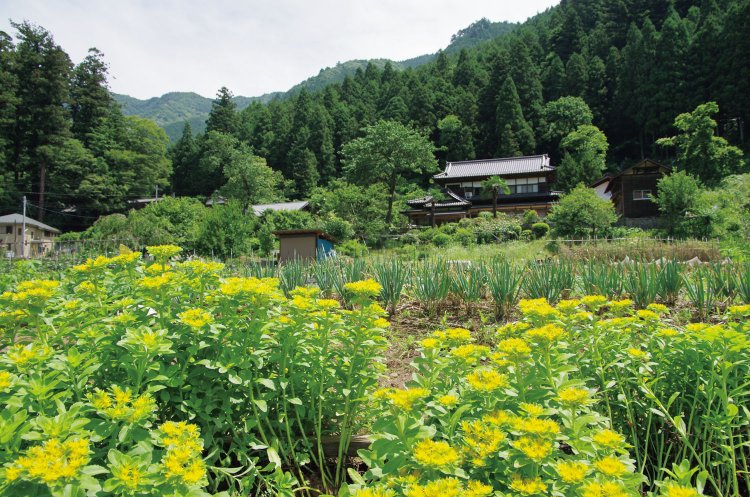 千足の集落の風景。どこか懐かしく、ここも東京都ではあるが、東北地方の田舎のような気もしてくる風景だ。