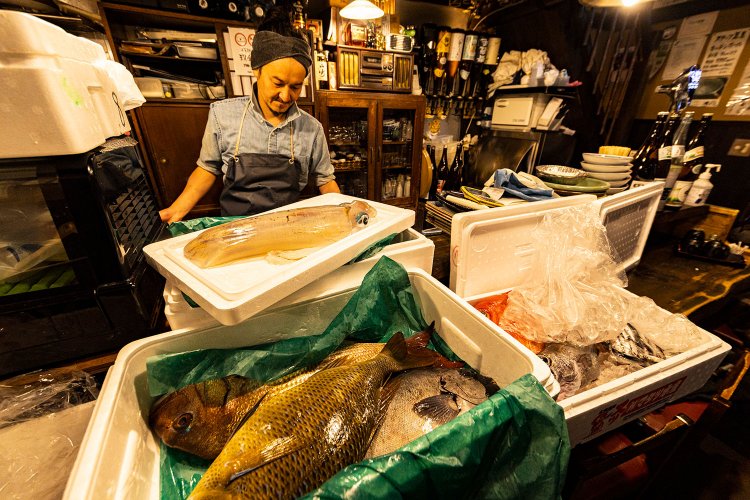 この日の仕入れ。魚に合わせて冷やす温度や時間が調整され、店でも身が生きていて硬直していない。