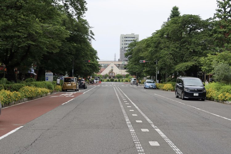 奥に見えるのが国立駅。大学通りは桜の名所、シーズンは花見客でにぎわう。
