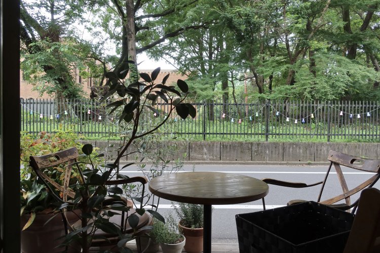 開け放たれたテラス席からは一橋大学の校舎と初夏の木々が。