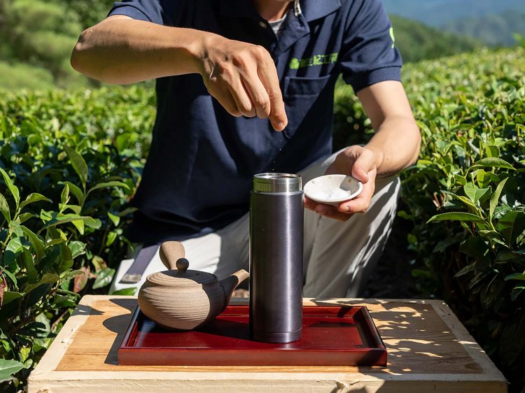 【Re:leaf Record】美濃白川茶の茶師