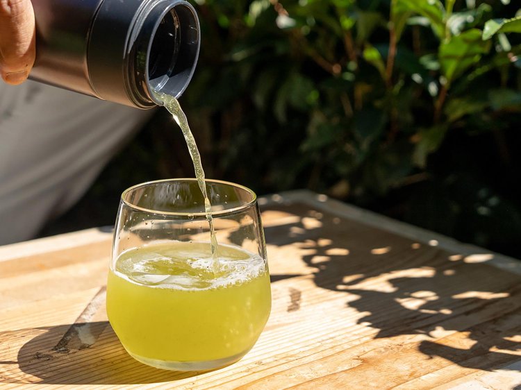 【Re:leaf Record】美濃白川茶の茶師