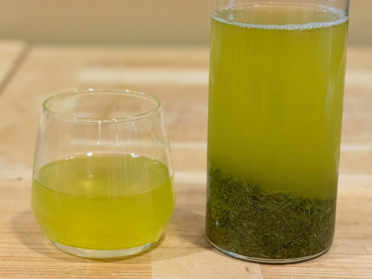 【Re:leaf Record】美濃白川茶の茶師