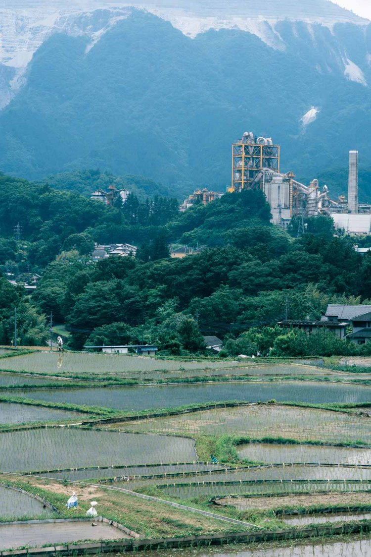 【カメラガールズ】『寺坂棚田』