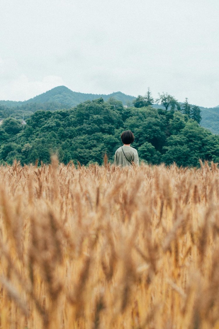 【カメラガールズ】『寺坂棚田』