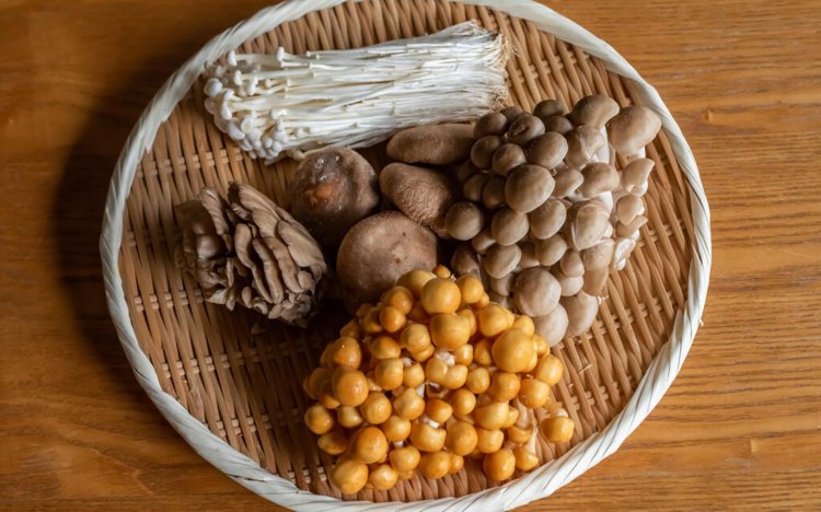 【東京おでんだね】おでんのきのこの調理方法